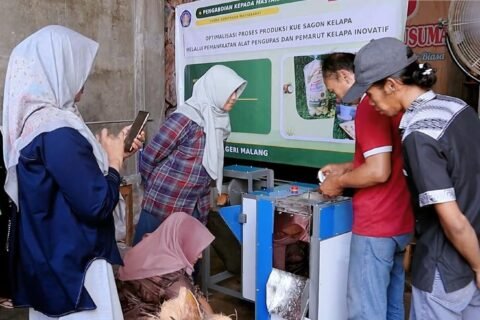 pengupas dan