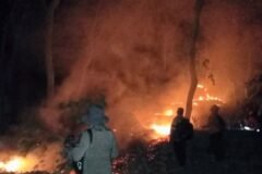 Kebakaran hutan di wilayah Ponorogo membuat TNI, Polri, dan Pemkab Ponorogo bersinergi untuk memadamkannya./dok.DNY-HUM