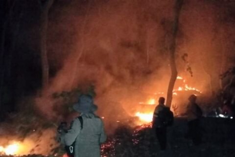 Kebakaran hutan di wilayah Ponorogo membuat TNI, Polri, dan Pemkab Ponorogo bersinergi untuk memadamkannya./dok.DNY-HUM