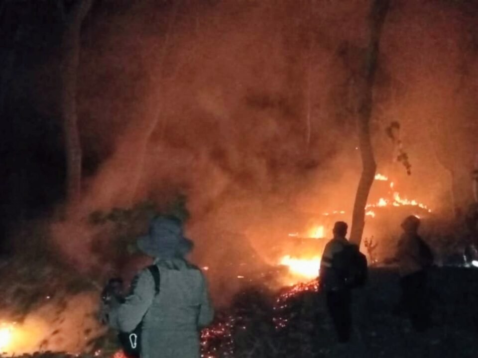 Kebakaran hutan di wilayah Ponorogo membuat TNI, Polri, dan Pemkab Ponorogo bersinergi untuk memadamkannya./dok.DNY-HUM