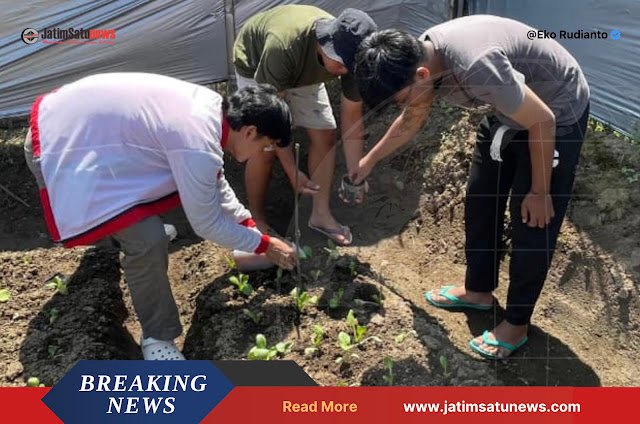 Pemuda Desa Sidodadi Ngantang Menggagas EcoChar: Solusi Pertanian Berkelanjutan dengan Biochar