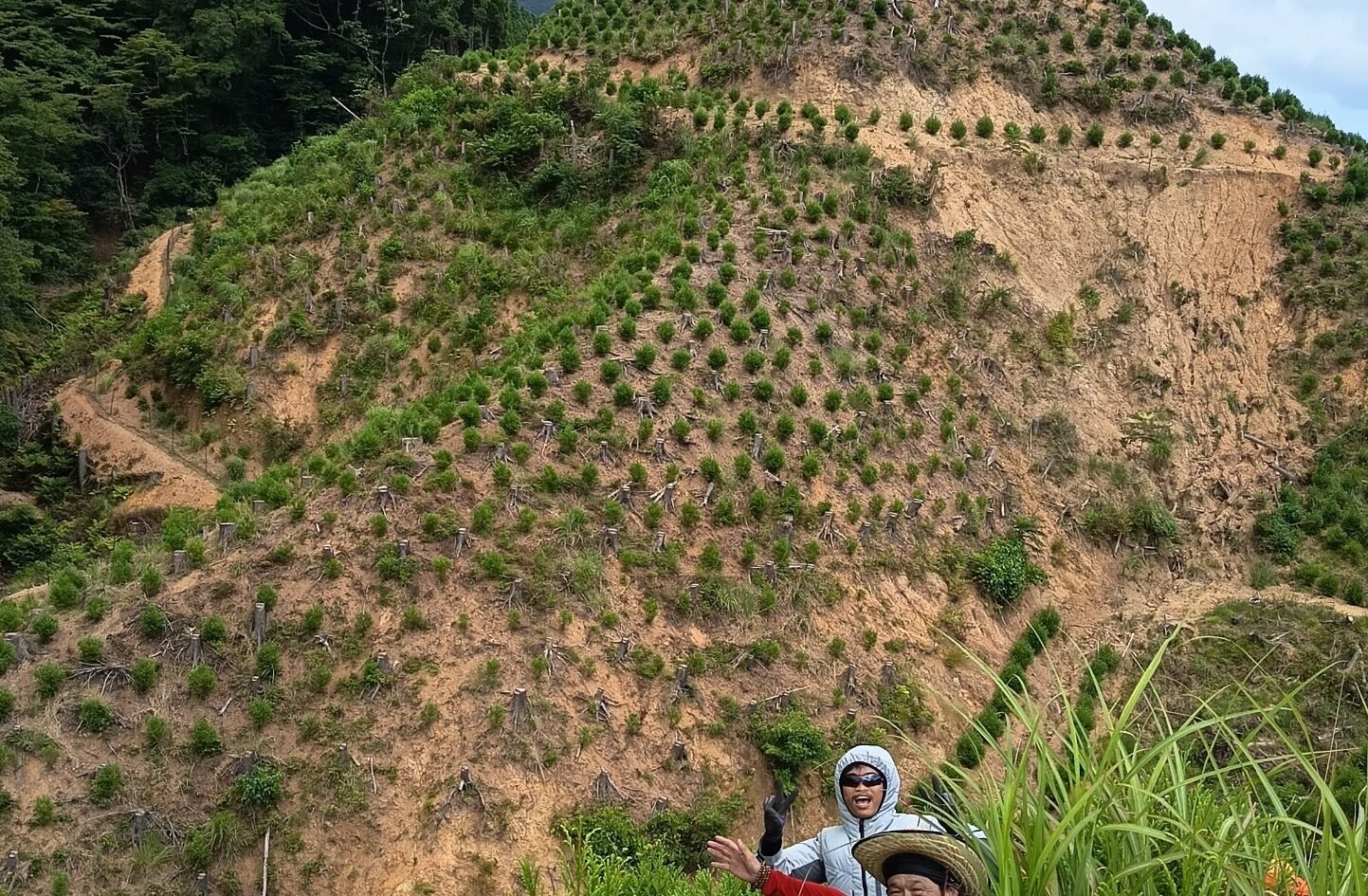 Adib Minanur Rohman (bawah) bersama tim saat rehat sejenak di area perbukitan hutan Fukuoka, Jepang, usai melakukan pemeliharaan dan penanaman bibit pohon yang menerapkan standar K3 ekstra ketat.