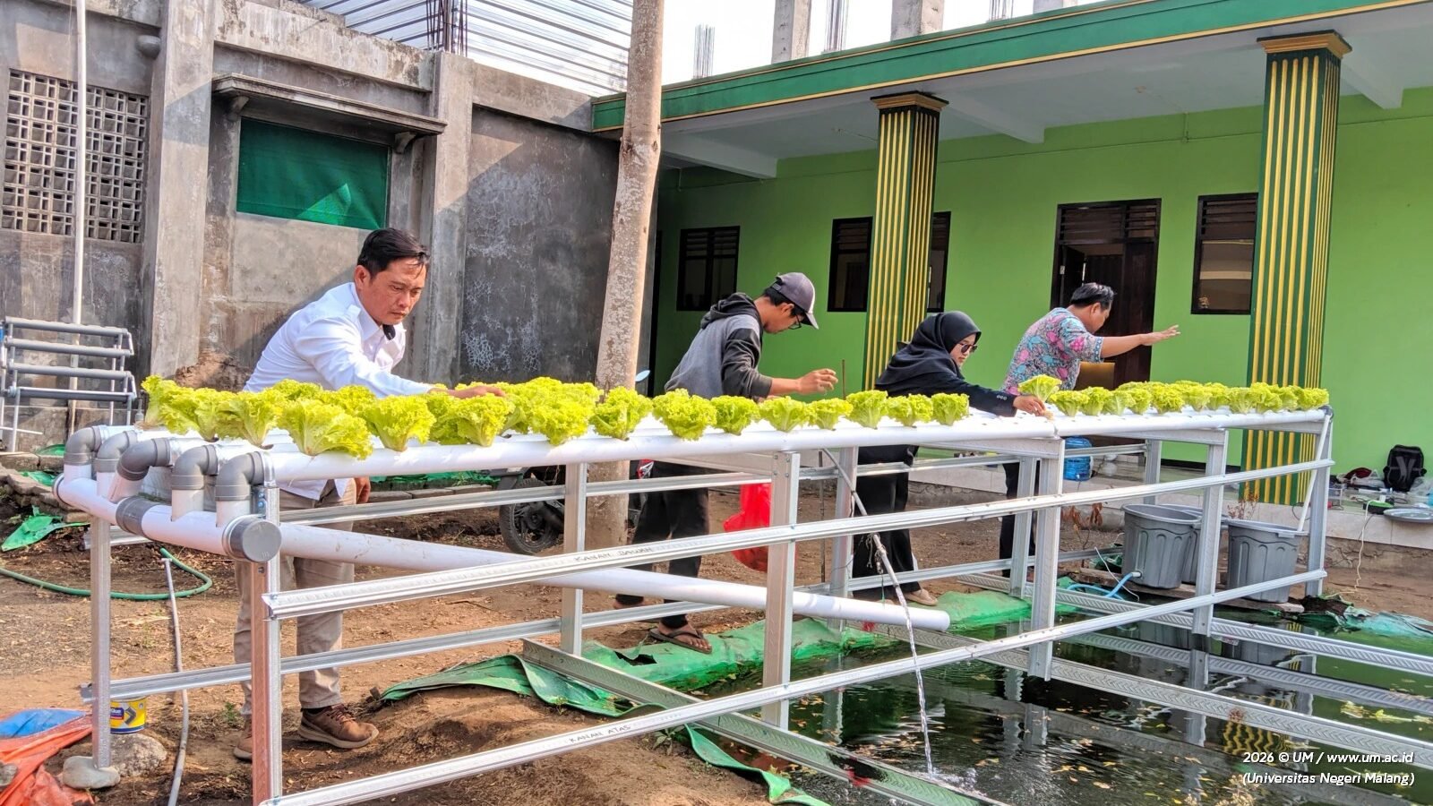 Momen Tim Pengabdian kepada Masyarakat (PkM) Universitas Negeri Malang (UM) saat mengedukasi dan mendampingi para santri Pondok Pesantren Mambaul Abyad, Wajak, dalam mengoperasikan instalasi aquaponik berbasis IoT guna mewujudkan kemandirian pangan pesantren.