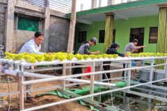 Momen Tim Pengabdian kepada Masyarakat (PkM) Universitas Negeri Malang (UM) saat mengedukasi dan mendampingi para santri Pondok Pesantren Mambaul Abyad, Wajak, dalam mengoperasikan instalasi aquaponik berbasis IoT guna mewujudkan kemandirian pangan pesantren.
