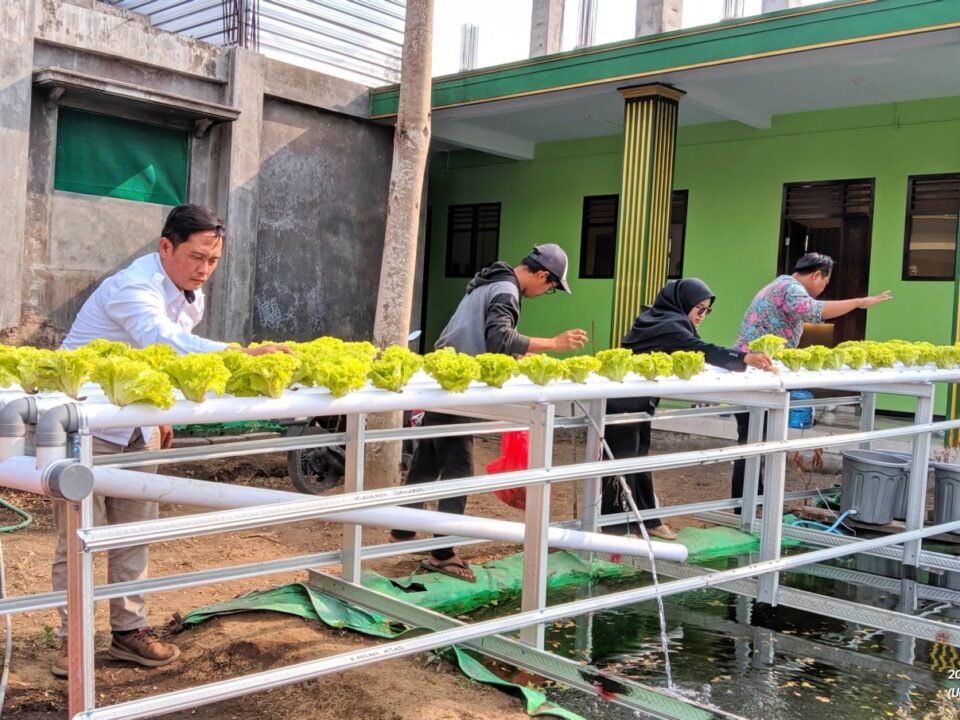 Momen Tim Pengabdian kepada Masyarakat (PkM) Universitas Negeri Malang (UM) saat mengedukasi dan mendampingi para santri Pondok Pesantren Mambaul Abyad, Wajak, dalam mengoperasikan instalasi aquaponik berbasis IoT guna mewujudkan kemandirian pangan pesantren.