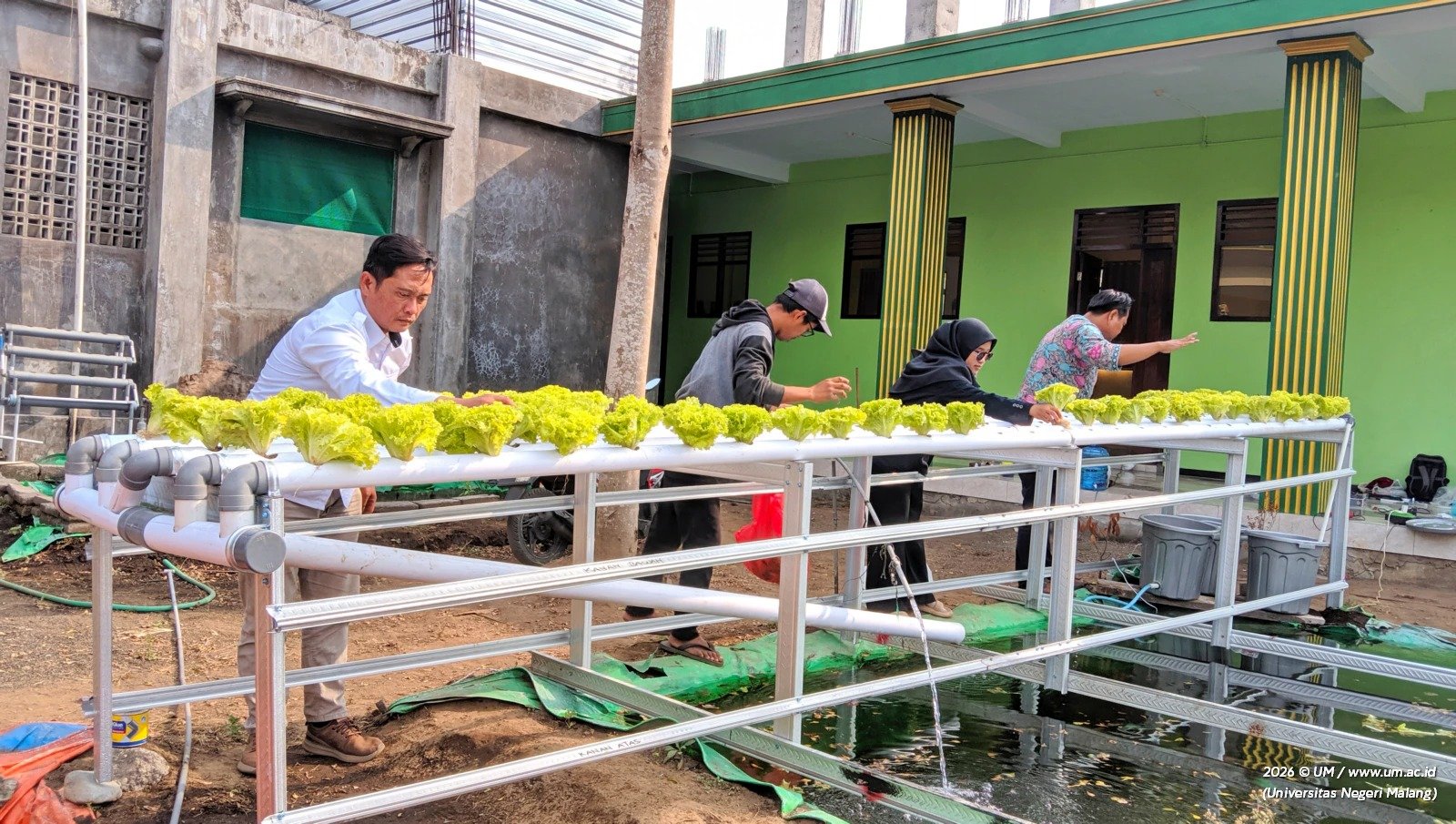 Momen Tim Pengabdian kepada Masyarakat (PkM) Universitas Negeri Malang (UM) saat mengedukasi dan mendampingi para santri Pondok Pesantren Mambaul Abyad, Wajak, dalam mengoperasikan instalasi aquaponik berbasis IoT guna mewujudkan kemandirian pangan pesantren.