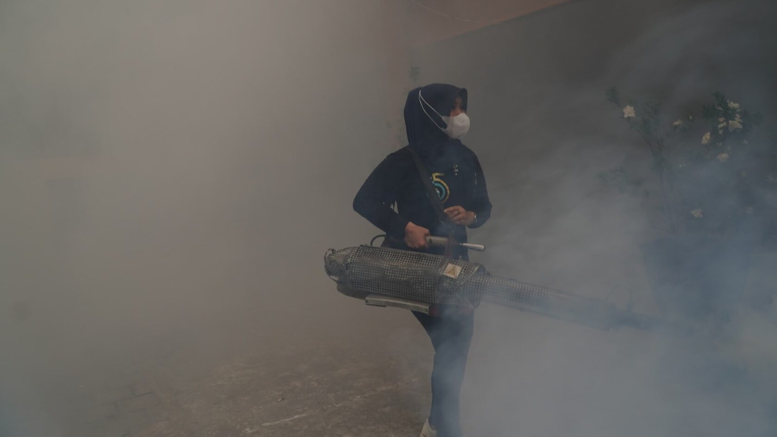 Menembus kepulan asap tebal, Anggota DPD RI Jatim Ning Lia (Dr. Lia Istifhama) beraksi langsung mengoperasikan mesin fogging di area pesantren Tambakberas, Jombang, sebagai langkah preventif cegah DBD jelang Muktamar NU ke-35.