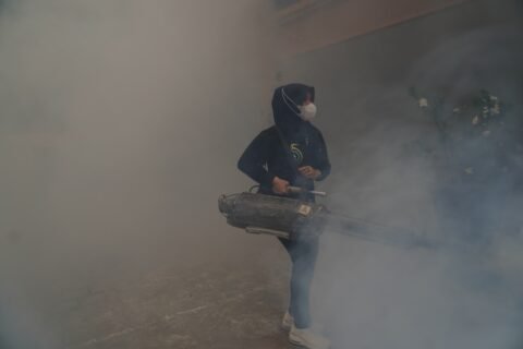 Menembus kepulan asap tebal, Anggota DPD RI Jatim Ning Lia (Dr. Lia Istifhama) beraksi langsung mengoperasikan mesin fogging di area pesantren Tambakberas, Jombang, sebagai langkah preventif cegah DBD jelang Muktamar NU ke-35.
