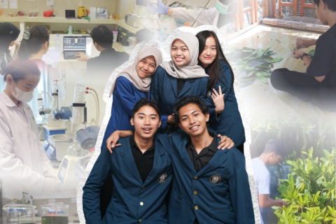 Dokumentasi Mahasiswa Undip Teliti Potensi Daun Mangrove Lindur sebagai Kandidat Antikanker. /Dok.Istimewa