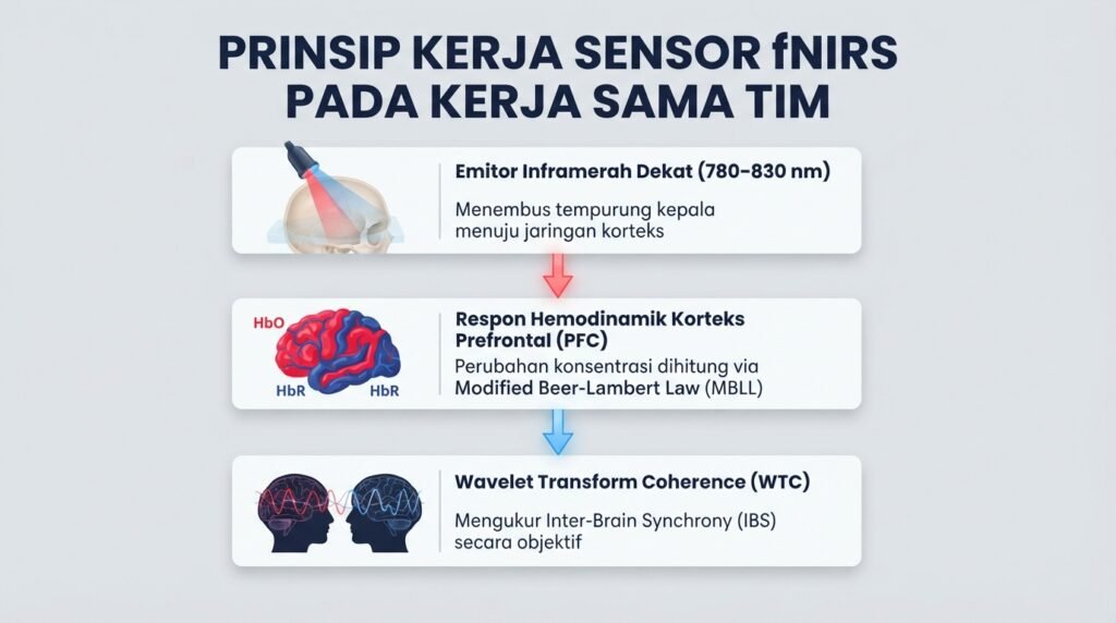 Diagram alur prinsip dasar kerja sensor fNIRS dalam mengukur sinyal kerja sama dan sinkronisasi otak tim
