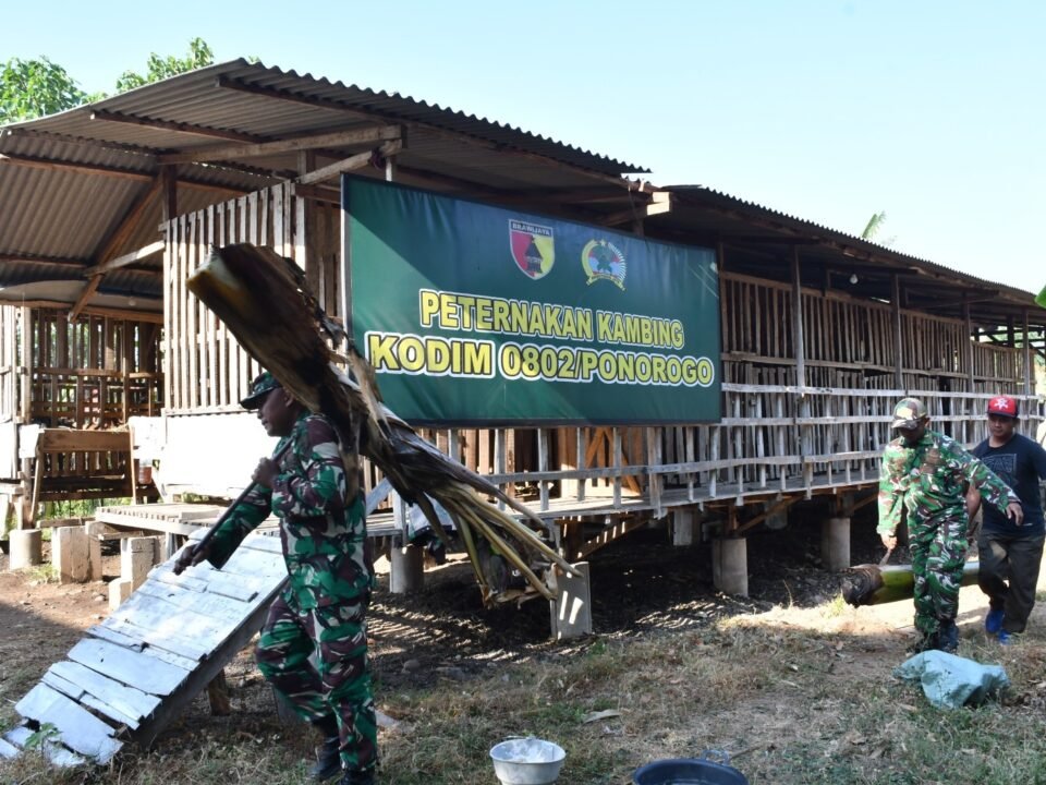 Kodim Ponorogo membentuk satgas Kompi Produksi untuk menyukseskan program pemerintah dan komando atas terhadap ketahanan pangan./dok.DNY