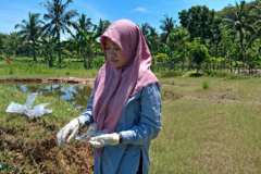 Dr. Reni Ustiatik, S.P., M.P., Melakukan pengambilan sampel bakteri di lapang.