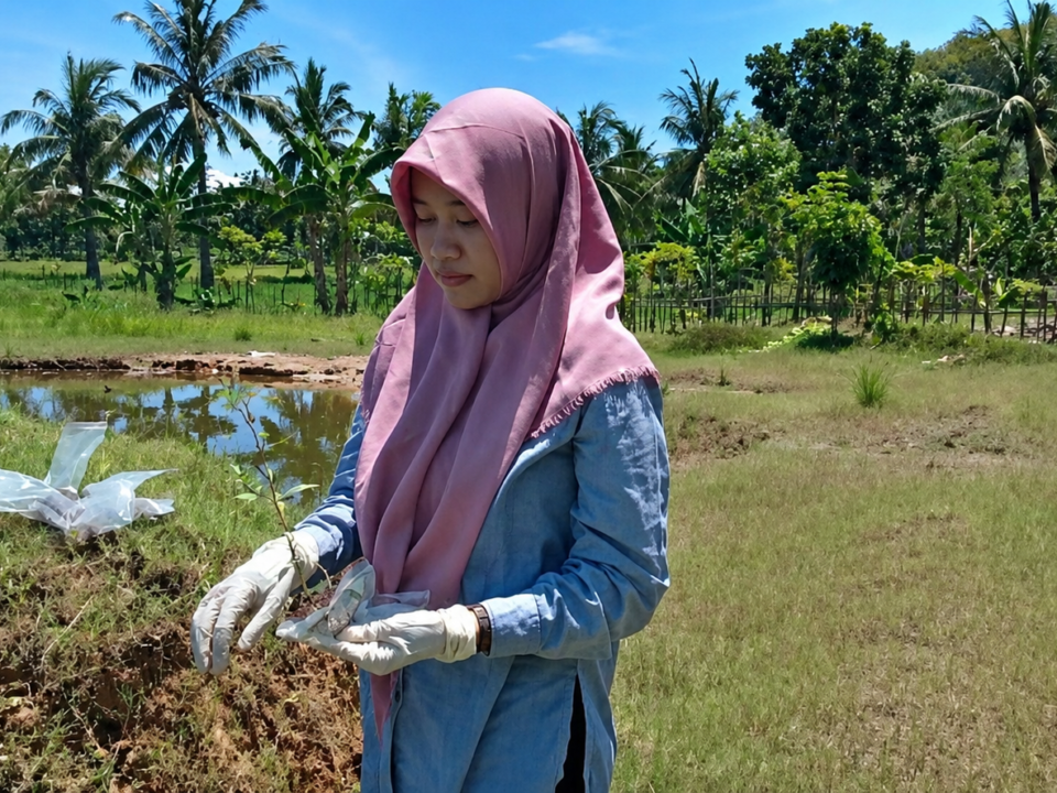 Dr. Reni Ustiatik, S.P., M.P., Melakukan pengambilan sampel bakteri di lapang.