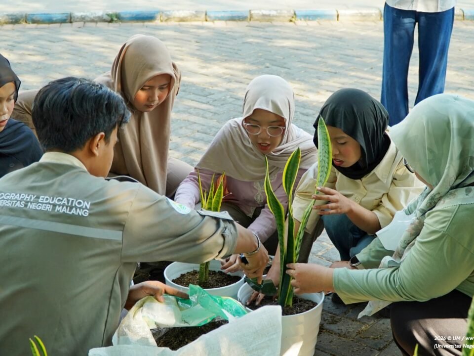 Mahasiswa Universitas Negeri Malang (UM) dari jurusan Pendidikan Geografi sedang bergotong royong menanam Sansevieria dalam pot di area kampus sebagai bagian dari aksi nyata memperingati Hari Ozon Sedunia.