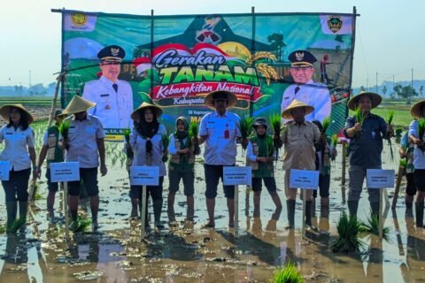 Gerakan Tanam Serempak untuk kebangkitan nasional di Wonoasri, Kabupaten Madiun pada 30 September 2026./dok.DNY-Kominfo