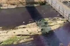 Penampakan Sungai Brantas yang airnya berwarna keunguan, di wilayah Kelurahan Mergosono, Kecamatan Kedungkandang, Kota Malang.