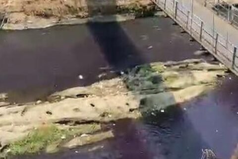 Penampakan Sungai Brantas yang airnya berwarna keunguan, di wilayah Kelurahan Mergosono, Kecamatan Kedungkandang, Kota Malang.