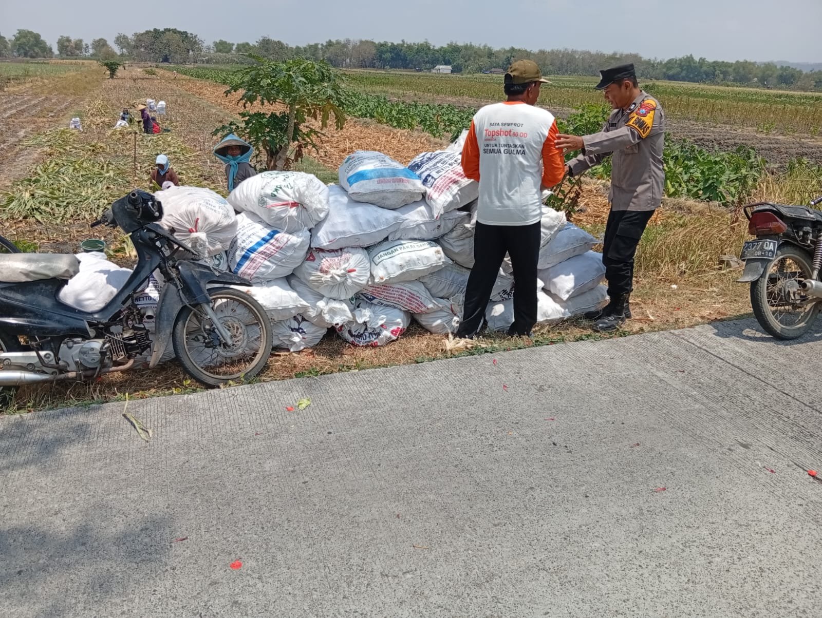Kanit Binmas Laksanakan Pembinaan kepada Petani Jagung, Dukung Ketahanan Pangan Nasional