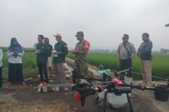 Babinsa Arjowinangun bersama tim PPL dan kelompok tani saat bersiap melakukan penyemprotan padi menggunakan drone.