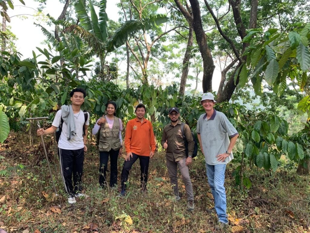 Di hutan kopi