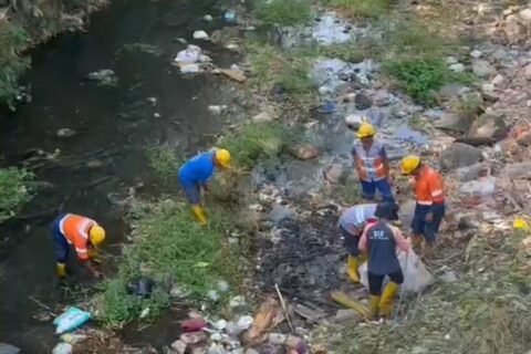 Personel DLH terjun langsung ke aliran sungai untuk mengangkat tumpukan sampah plastik dan limbah guna menjaga kebersihan sumber air di kawasan Sumber Merjosari.