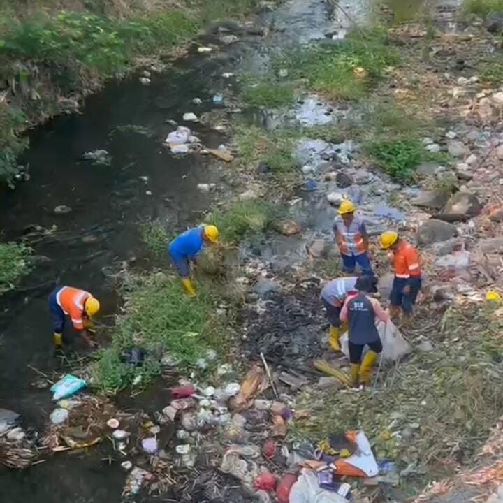 Personel DLH terjun langsung ke aliran sungai untuk mengangkat tumpukan sampah plastik dan limbah guna menjaga kebersihan sumber air di kawasan Sumber Merjosari.
