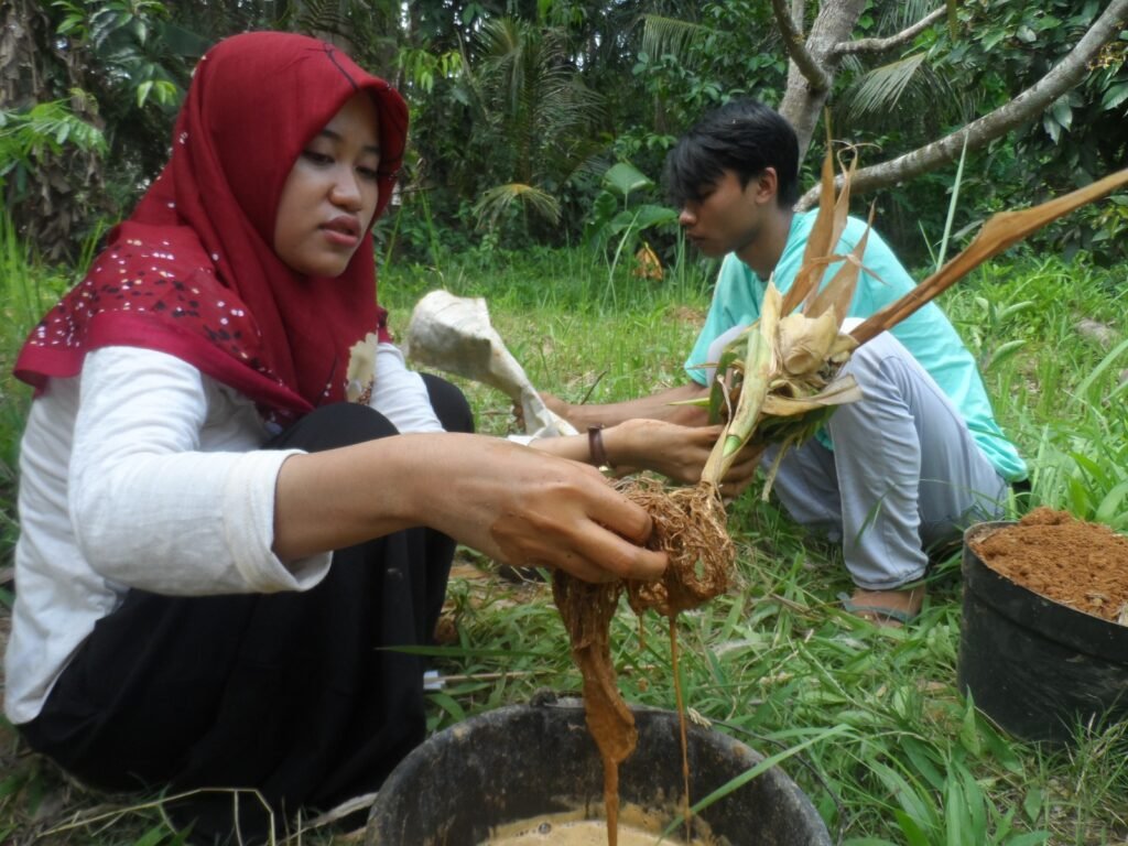 Tim peneliti memeriksa sampel akar rumput lokal
