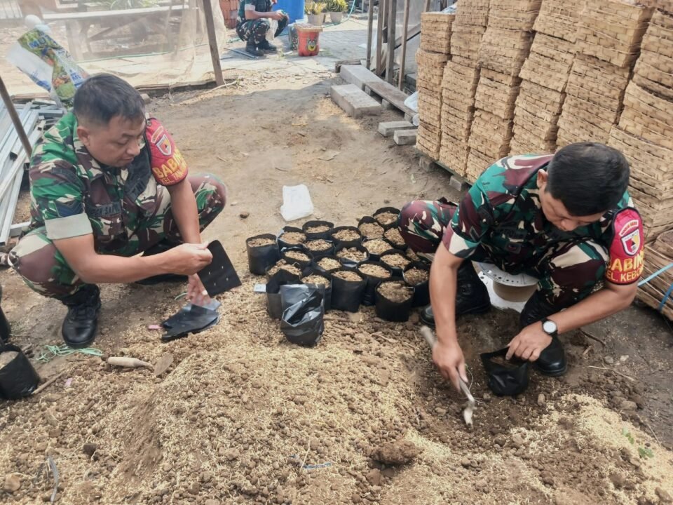 Personel Koramil 0833-04/Sukun memasukkan media tanah ke dalam polybag saat menyiapkan bibit pohon buah di Makoramil Sukun, Kota Malang, Jumat (2/10/2026).