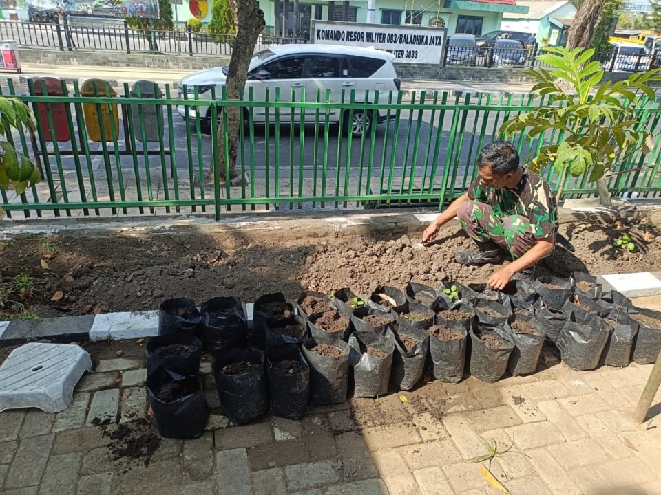 Seorang personel Koramil Klojen meratakan tanah dan menyiapkan media tanam di pekarangan makoramil demi menunjang pertumbuhan bibit secara optimal.