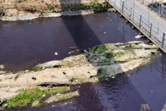 Air di Sungai Brantas Kawasan Megosono yang berubah warna menjadi ungu