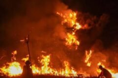 Ilustrasi petugas dan relawan saat berjibaku memadamkan kebakaran hutan dan lahan di kawasan vegetasi.
