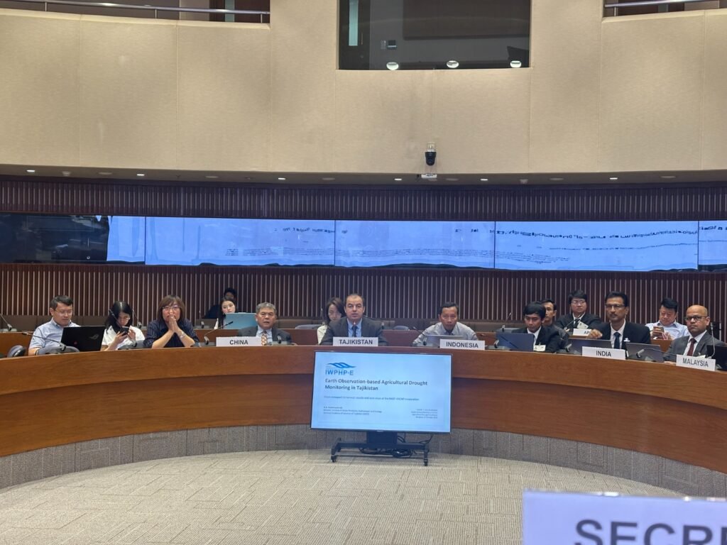 Para delegasi negara sahabat saat mengikuti jalannya sidang pleno di ruang konferensi.