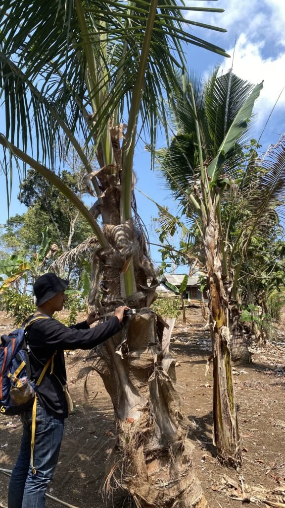 Pengukuran biomassa dan vegetasi pohon untuk program peningkatan penyerapan karbon di Kabupaten Malang.