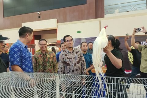 Rektor UB Prof. Widodo beserta jajaran saat meninjau kontes dan pameran satwa hias dalam ajang Piala Rektor Prana Satwa Brawijaya 2026.