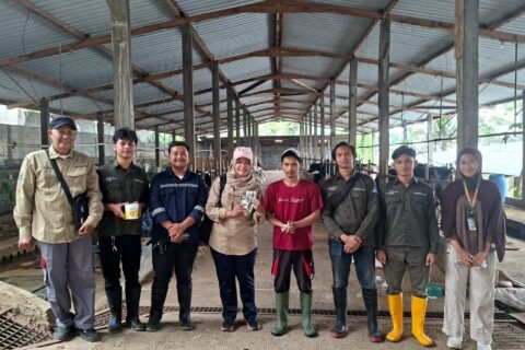 drh. Zilly Zenianti Zandriana, M.Si. dari Dinas Peternakan dan Kesehatan Hewan Kabupaten Malang bersama tim Sahabat Ternak Srawung Desa 2026 BEM Universitas Airlangga dan peternak sapi perah saat kegiatan edukasi kesehatan hewan di Desa Balesari, Kecamatan Ngajum, Kabupaten Malang,